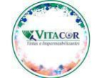 Vitacor Tintas e Impermeabilizantes Lages SC